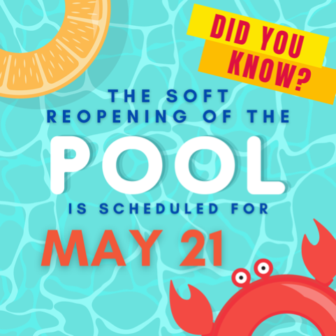 pool soft opening flyer