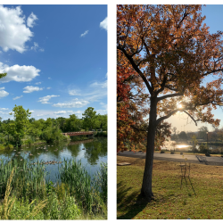 The Benefits of Leisure Walking