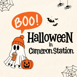 Halloween in Cameron Station: Tips for a Safe and Spooky Night!