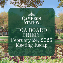 HOA Board Brief: February 24, 2026 Meeting Recap